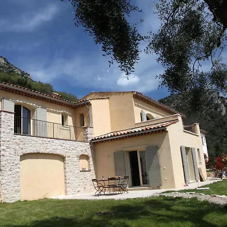 Olives Et Libellules Vence